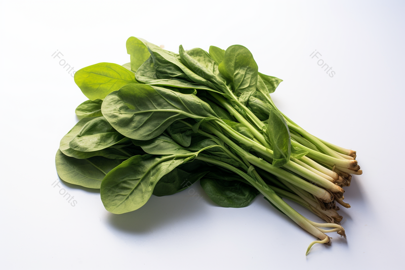 刚采摘的一把绿色菠菜摄影实拍,高清,摄影图,摄影图片,图片大全,摄影图免费下载